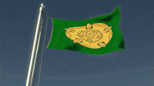 a green flag with a gold turtle on it
