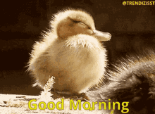 Good Morning Sleepy GIF - Good Morning Sleepy Wake Up GIFs