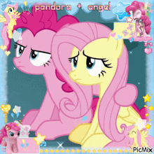 a picture of pinkie pie and fluttershy from my little pony friendship is magic