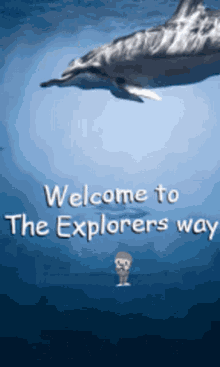 The Explorers Way Diving Swimming GIF - The Explorers Way Diving Swimming GIFs