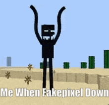 Fakepixel Minecraft GIF