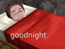 Good Night Minecraft GIF - Good Night Minecraft Guschka GIFs