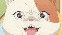 a close up of a cat with its mouth open