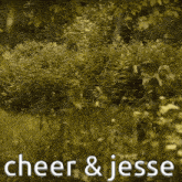 a couple of people standing in a field with the words cheer & jesse