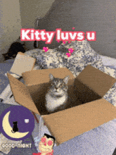 a cat is sitting in a cardboard box with the words kitty luvs u written above it