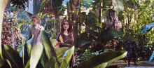 Mortal Instruments Garden GIF - Mortal Instruments Garden Greenhouse GIFs