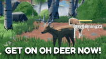 Oh Deer Deers GIF - Oh Deer Deers Galaxygaming23 GIFs