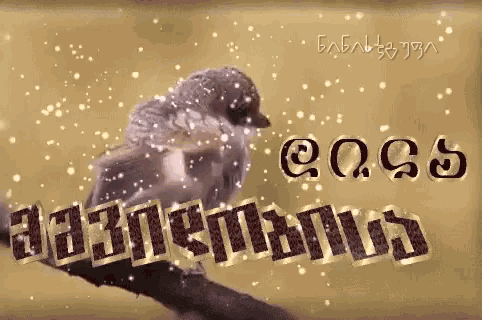 დილა მშვიდობისა GIF - Დილა Მშვიდობისა Dila - Discover & Share GIFs