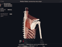 Rhomboid Major Shoulder Retraction GIF