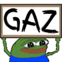 gaz pepe the frog pepe placard banner
