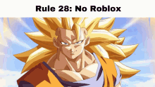 rule28 roblox no roblox