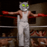 a man wearing boxing gloves and a cat head is in a boxing ring