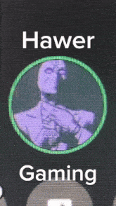 Hawer Gaming GIF - Hawer Gaming GIFs