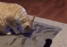 Archie Monsters Tail GIF - Cats Tail GIFs