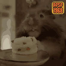 Pfsf1968 Cute GIF - Pfsf1968 Cute Hamster GIFs