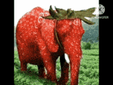 Elephant Strawberry Smurfcat GIF - Elephant Strawberry Smurfcat Shitpost GIFs