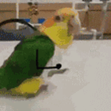 Animated Parrot GIFs | Tenor