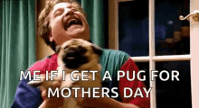 Pug Pugs GIF - Pug Pugs Puppy GIFs