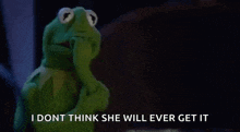 kermit the frog is holding his hand to his face and says `` i dont think she will ever get it '' .