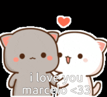 a couple of cartoon cats holding hands and saying i love you marcelo < 33 .