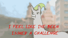 Llamas With Hats I Feel Like Ive Been Issued A Challenge GIF - Llamas With Hats I Feel Like Ive Been Issued A Challenge Dare GIFs