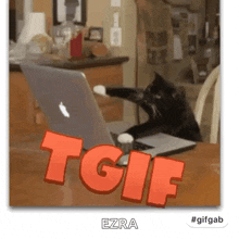 Tgif Cat GIF