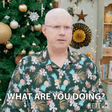 What Are You Doing Matt Lucas GIF - What Are You Doing Matt Lucas The Great British Baking Show Holidays GIFs