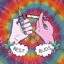 Best Buds Weed GIF - Best Buds Weed Weed Lover GIFs