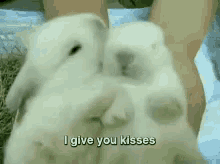 Besos Bunny Kisses GIF - Besos Bunny Kisses Bunny GIFs