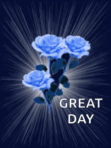 Great Day GIF - Great Day Roses GIFs