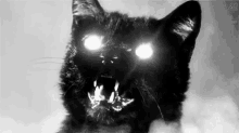 Friday The 13th GIF - Friday The13th Black Cat Scary GIFs