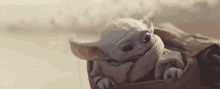 Yoda Baby GIF