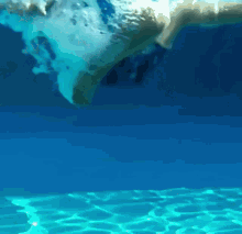 Underwater Aahandfield GIF - Underwater Aahandfield Water GIFs