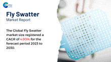 Fly Swatter Market Report 2024 GIF