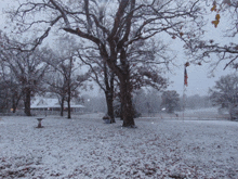 a snowy landscape with a house in the background