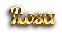 the word rosa that is gold on a white background