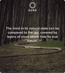 the mind in its natural state can be compared to the sky covered by layers of cloud which hide its true nature .