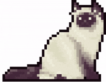 cat black pixel