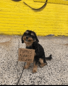 a dog with a sign that says puppies against fireworks on it