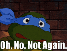 a teenage mutant ninja turtle says " oh no. not again "