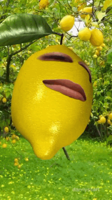 Lemoncult Lemon Face GIF - Lemoncult Lemon Lemon Face GIFs