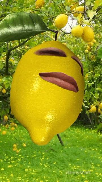 Lemoncult Lemon Face GIF - Lemoncult Lemon Lemon Face GIFs