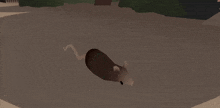 Rat Wobble GIF - Rat Wobble GIFs