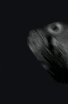 a mri scan of a person 's brain is being displayed on a cell phone .