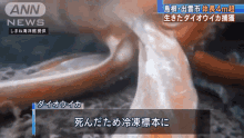 Giant Squid On Tv GIF - Giant Squid On Tv GIFs