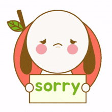 apology apologies excuse me so sorry excuse