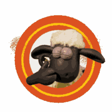 sheep funny