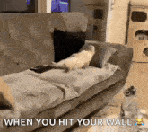 Cat Rest Lazy Laying Bed GIF