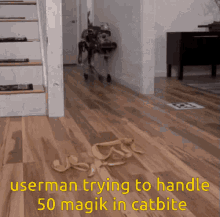 catbite userman robot slip