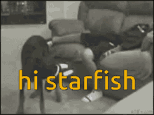 Starfish Starfish Gaming GIF - Starfish Starfish Gaming Hi Amman GIFs